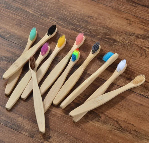 EcoColor Bamboo Toothbrush