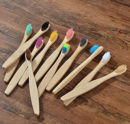 EcoColor Bamboo Toothbrush