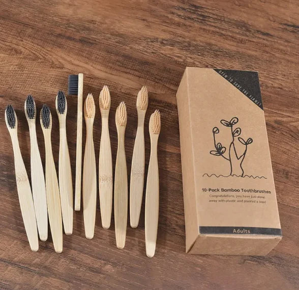 EcoColor Bamboo Toothbrush