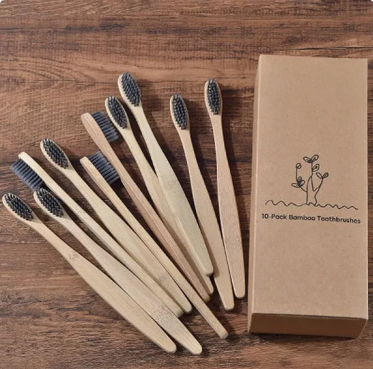 EcoColor Bamboo Toothbrush