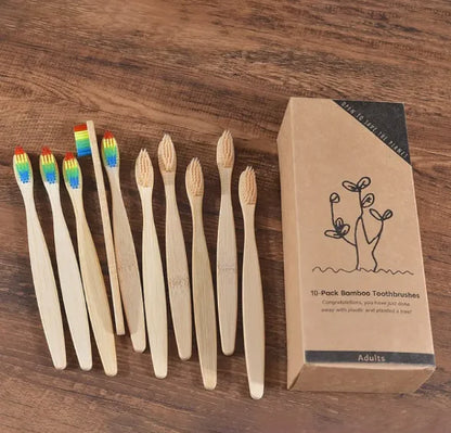 EcoColor Bamboo Toothbrush