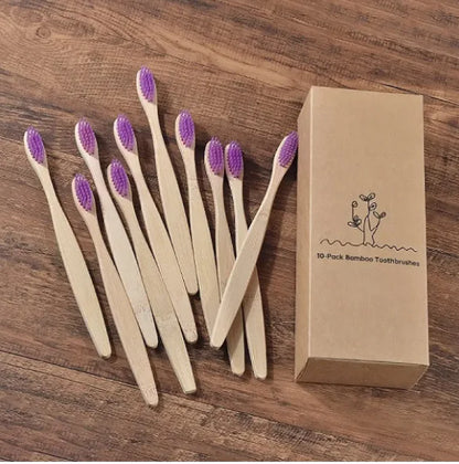 EcoColor Bamboo Toothbrush