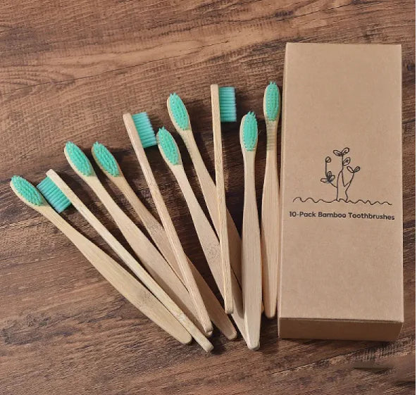 EcoColor Bamboo Toothbrush