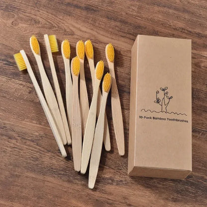 EcoColor Bamboo Toothbrush