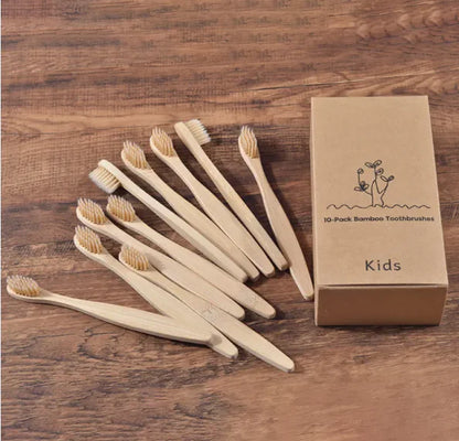 EcoColor Bamboo Toothbrush