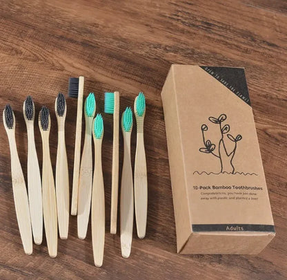 EcoColor Bamboo Toothbrush