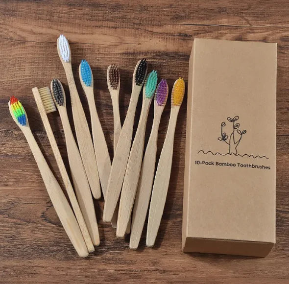EcoColor Bamboo Toothbrush