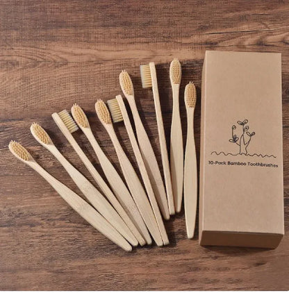 EcoColor Bamboo Toothbrush